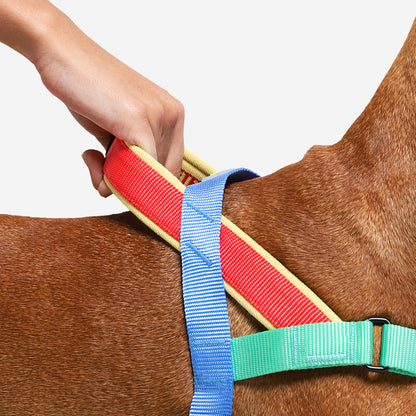 Zee.Dog Softer Walk Harness Mellow - Arnés para Perros