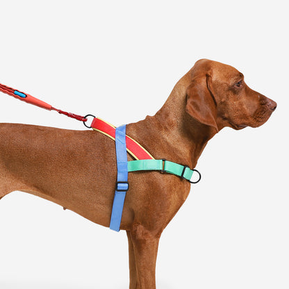 Zee.Dog Softer Walk Harness Mellow - Arnés para Perros