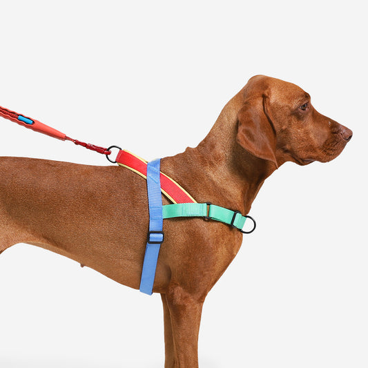 Zee.Dog Softer Walk Harness Mellow - Arnés para Perros