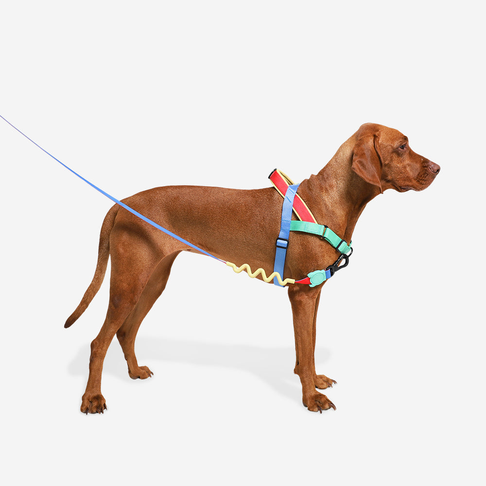 Zee.Dog Softer Walk Harness Mellow - Arnés para Perros