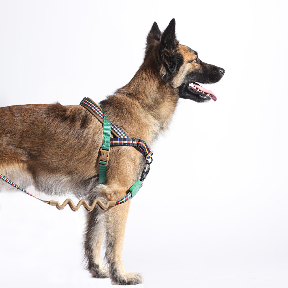 Zee.Dog Softer Walk Harness Travis - Arnés para Perros