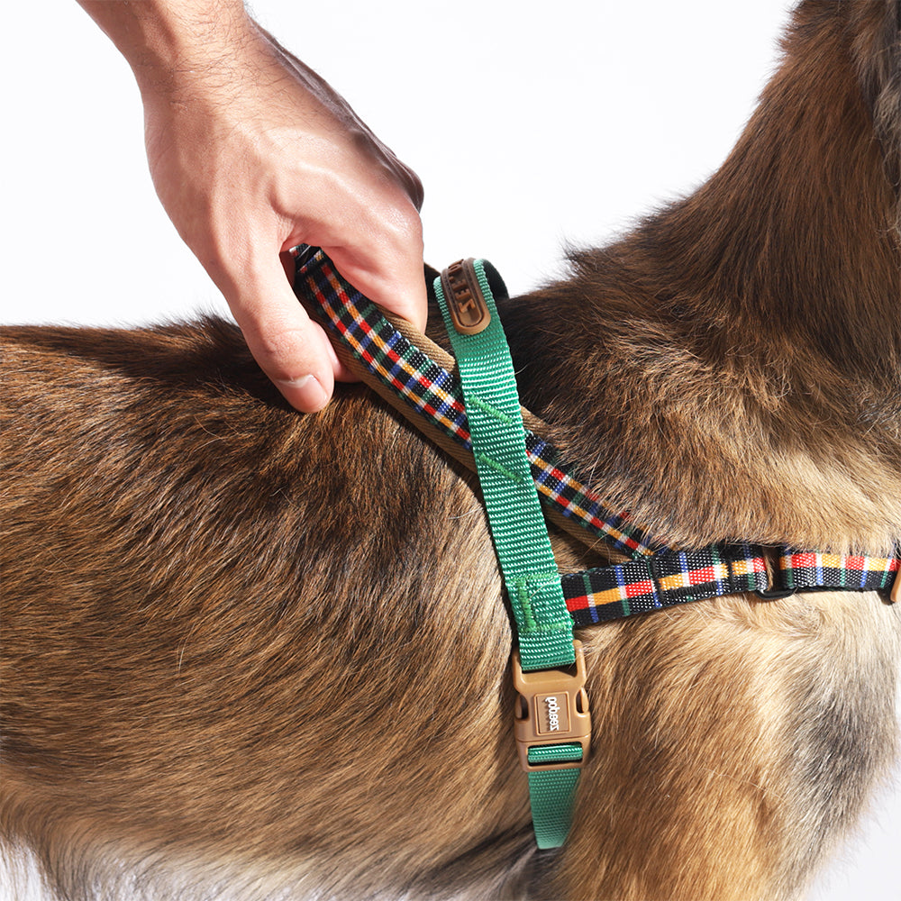 Zee.Dog Softer Walk Harness Travis - Arnés para Perros