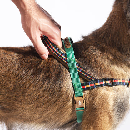 Zee.Dog Softer Walk Harness Travis - Arnés para Perros