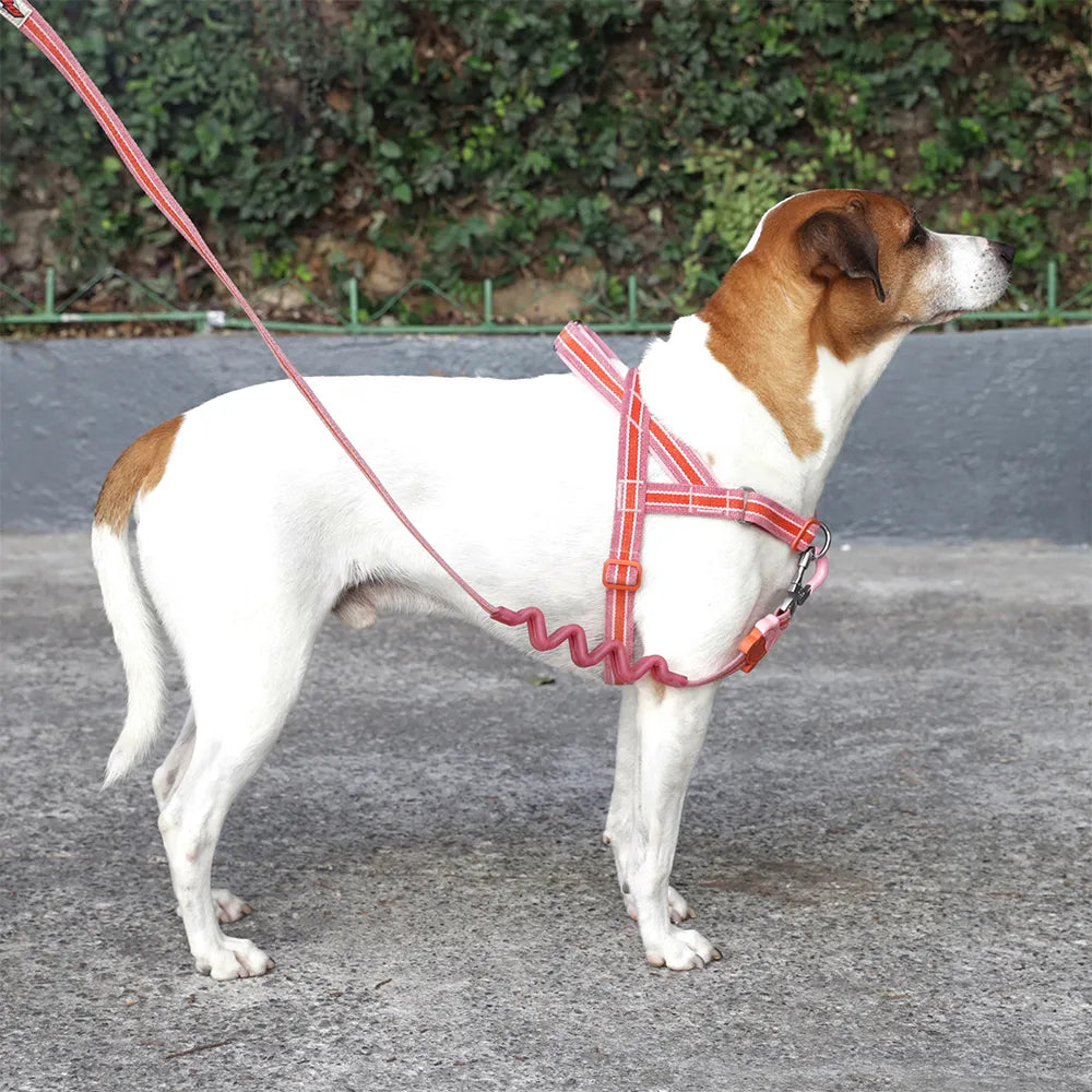 Zee.Dog Softer Walk Harness Velvet Vibes Courtney - Arnés para Perros