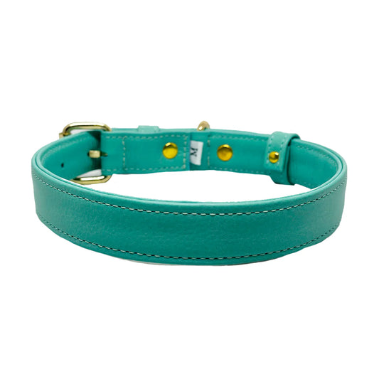 Feroz Collar de Cuero Turquesa - Collares para Perros
