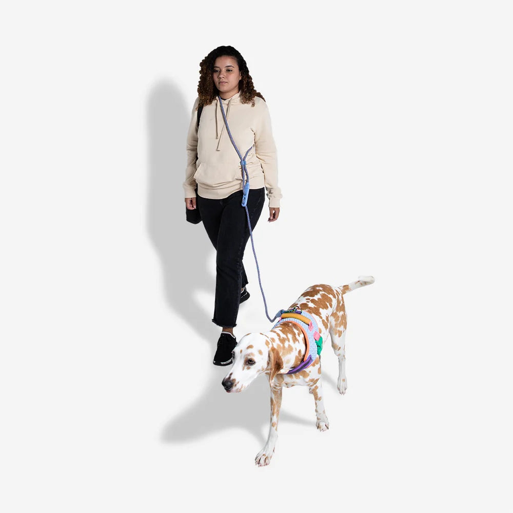 Zee.Dog Hands-Free Leash Andromeda - Correas para Perros