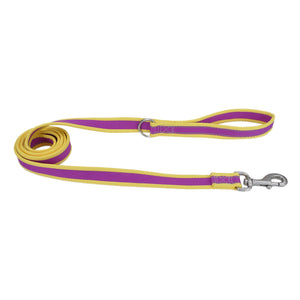 Coastal Pro Reflective Dog Leash Purple with Yellow - Correas para Perros