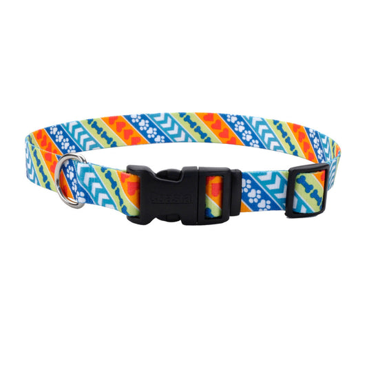 Coastal Styles Collar Resolve - Collares para Perros