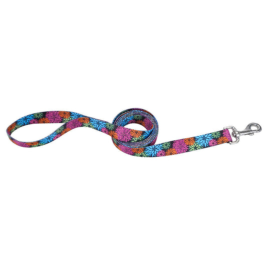Coastal Styles Leash Wildflower - Correas para Perros