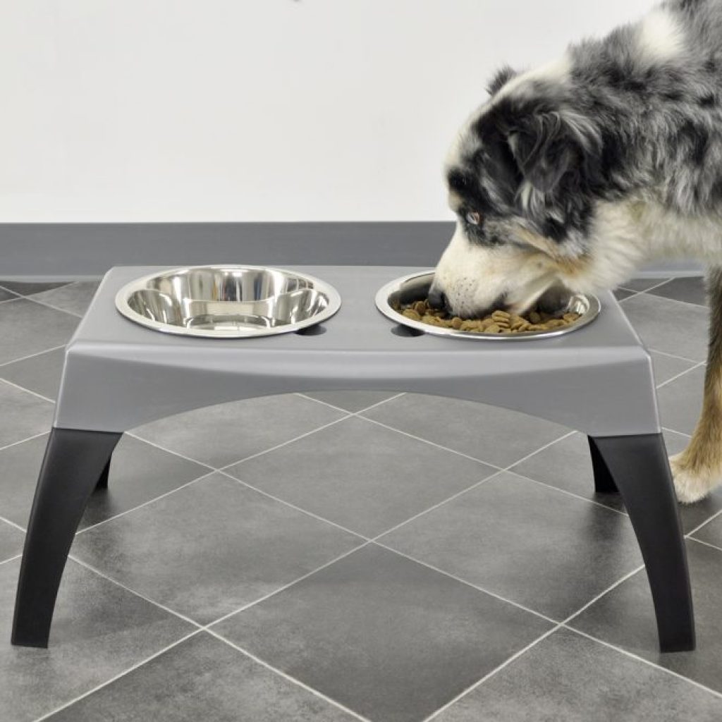 Comedero Doble Elevado Maslow - Comederos para Perros