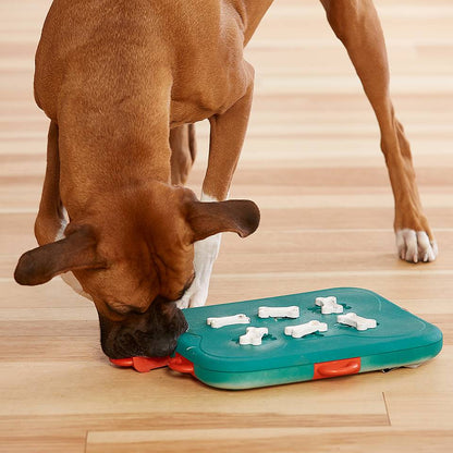 Dog Casino Nivel 3 - Juegos de Inteligencia para Perros