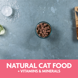 Evolve Cat Classic Crafted Meals Salmón - Alimento Húmedo para Gatos