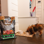 Evolve Classic Cordero - Alimento Holistico para Perros