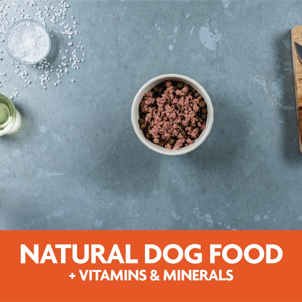 Evolve Classic Crafted Meals Pavo - Alimento Húmedo para Perros