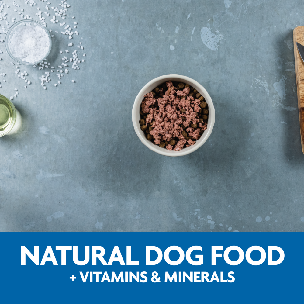 Evolve Classic Crafted Meals Pollo - Alimento Húmedo para Perros