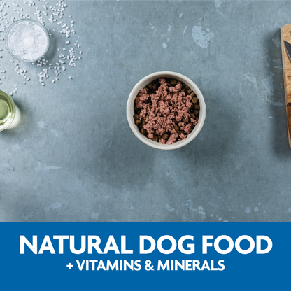 Evolve Classic Crafted Meals Pollo - Alimento Húmedo para Perros