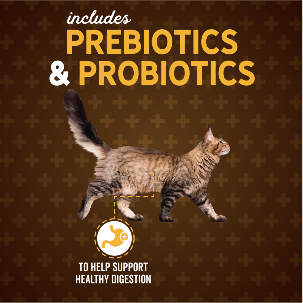 Evolve Gato Classic Salmón - Alimento Holistico para Gatos
