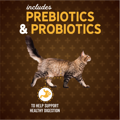 Evolve Gato Classic Salmón - Alimento Holistico para Gatos