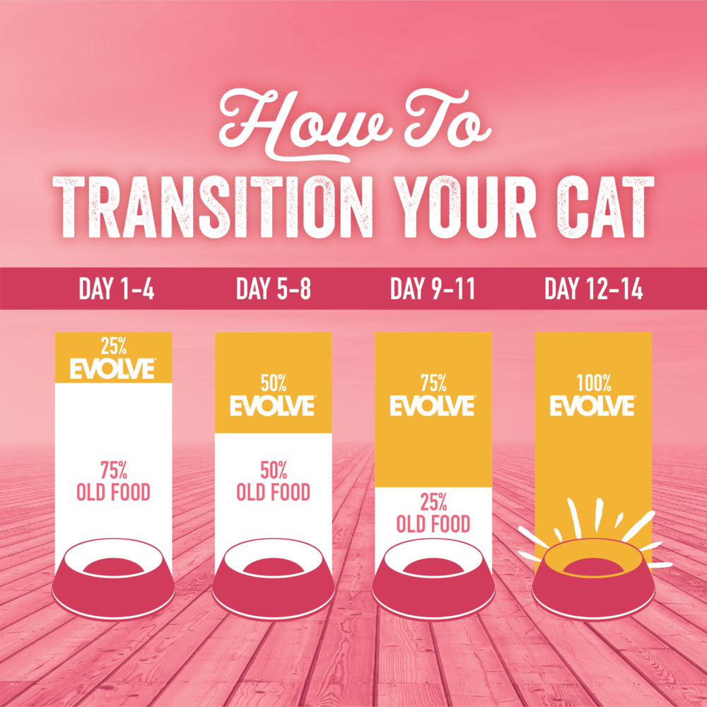 Evolve Gato Classic Salmón - Alimento Holistico para Gatos