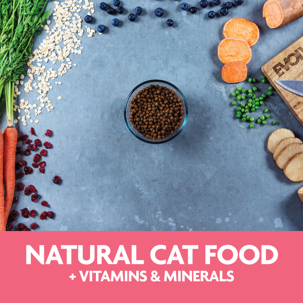 Evolve Gato Classic Salmón - Alimento Holistico para Gatos