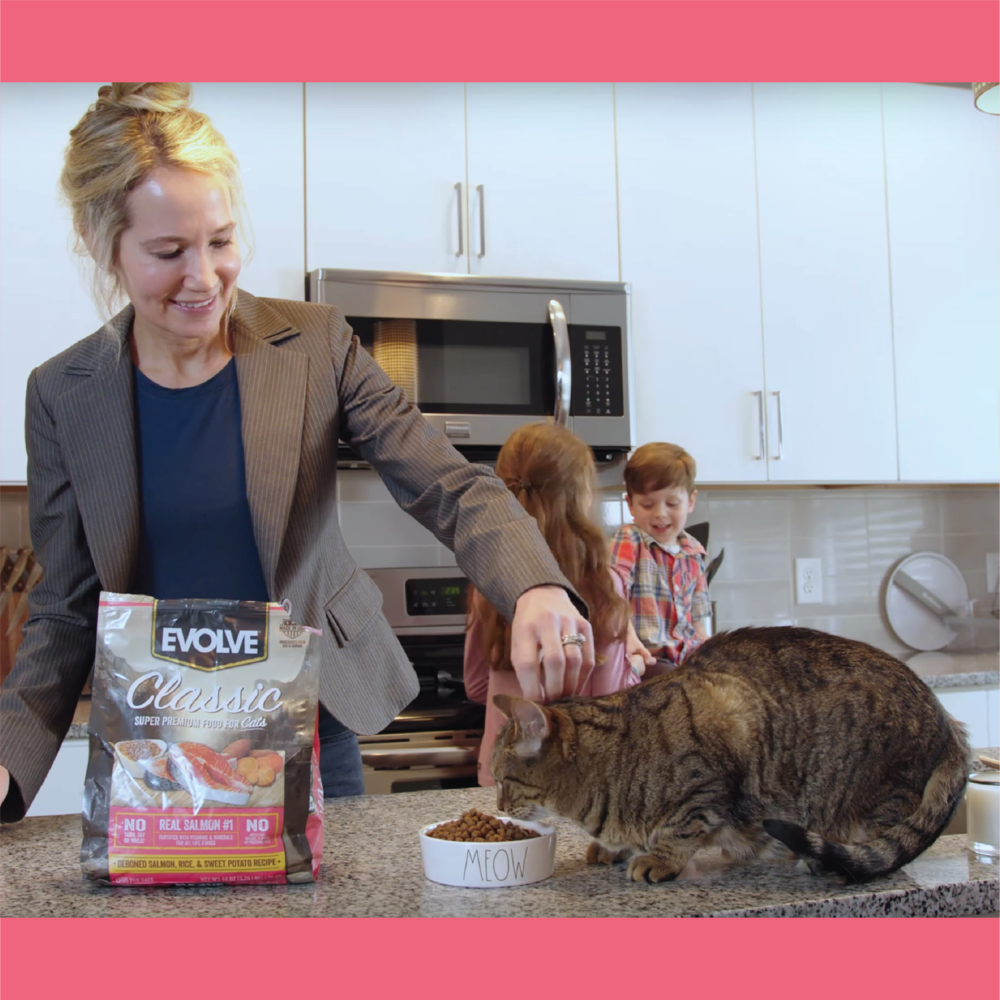 Evolve Gato Classic Salmón - Alimento Holistico para Gatos