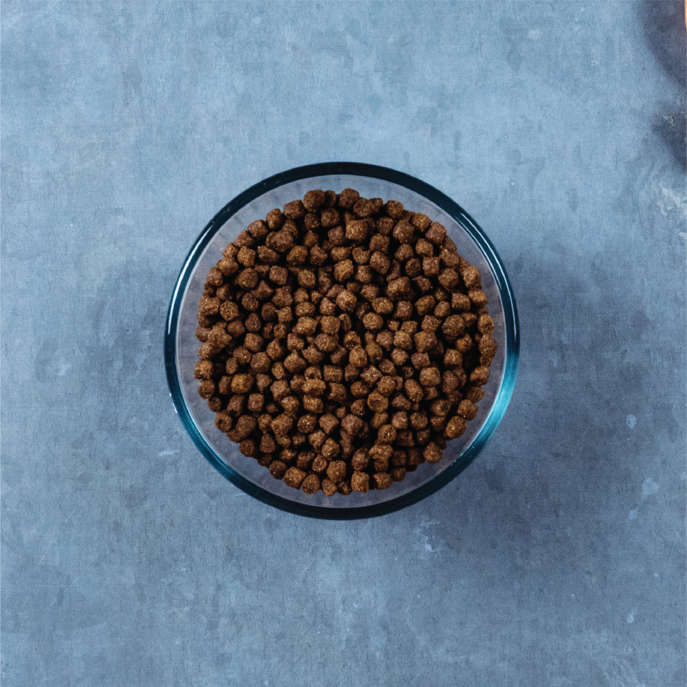 Evolve Gato Classic Salmón - Alimento Holistico para Gatos
