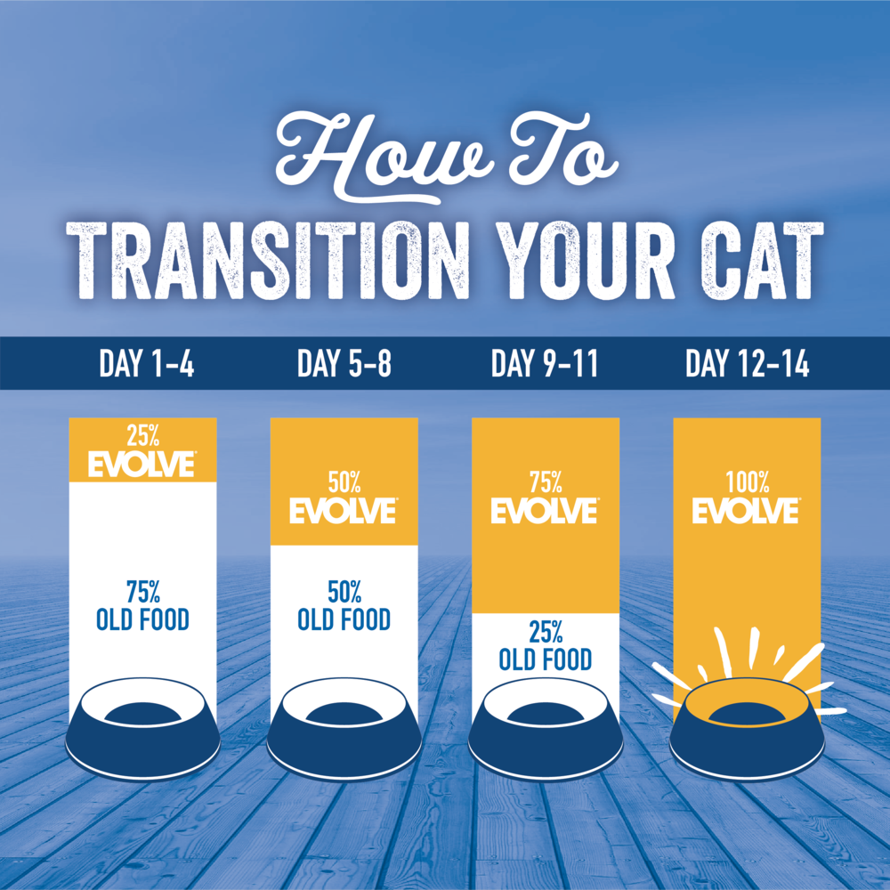 Evolve Gato Grain Free Pollo - Alimento Holistico para Gatos