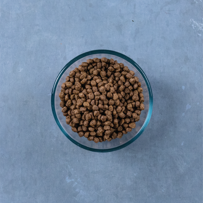Evolve Gato Grain Free Pollo - Alimento Holistico para Gatos