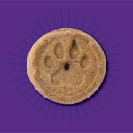 Evolve Grain Free Biscuits Mantequilla de Mani - Galletas y Snacks para Perros