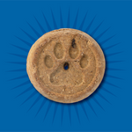 Evolve Grain Free Biscuits Pollo - Galletas y Snacks para Perros