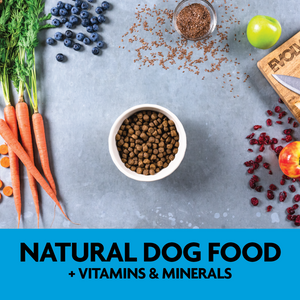 Evolve Grain Free Cachorro - Alimento Holistico para Perros
