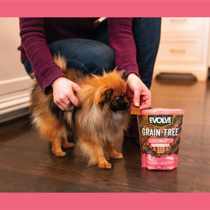 Evolve Grain Free Jerky Bites Salmón - Snacks para Perros