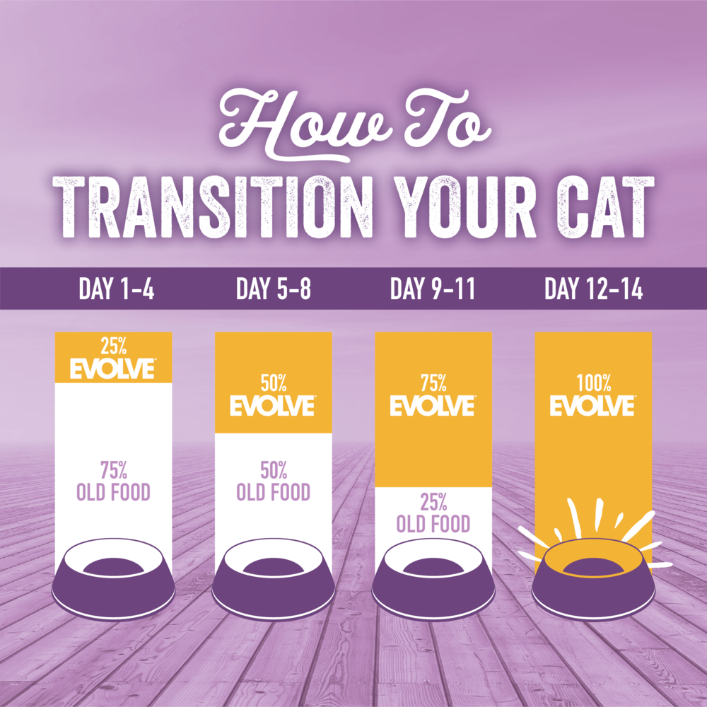 Evolve Grain Free Kitten - Alimento Holistico para Gatos