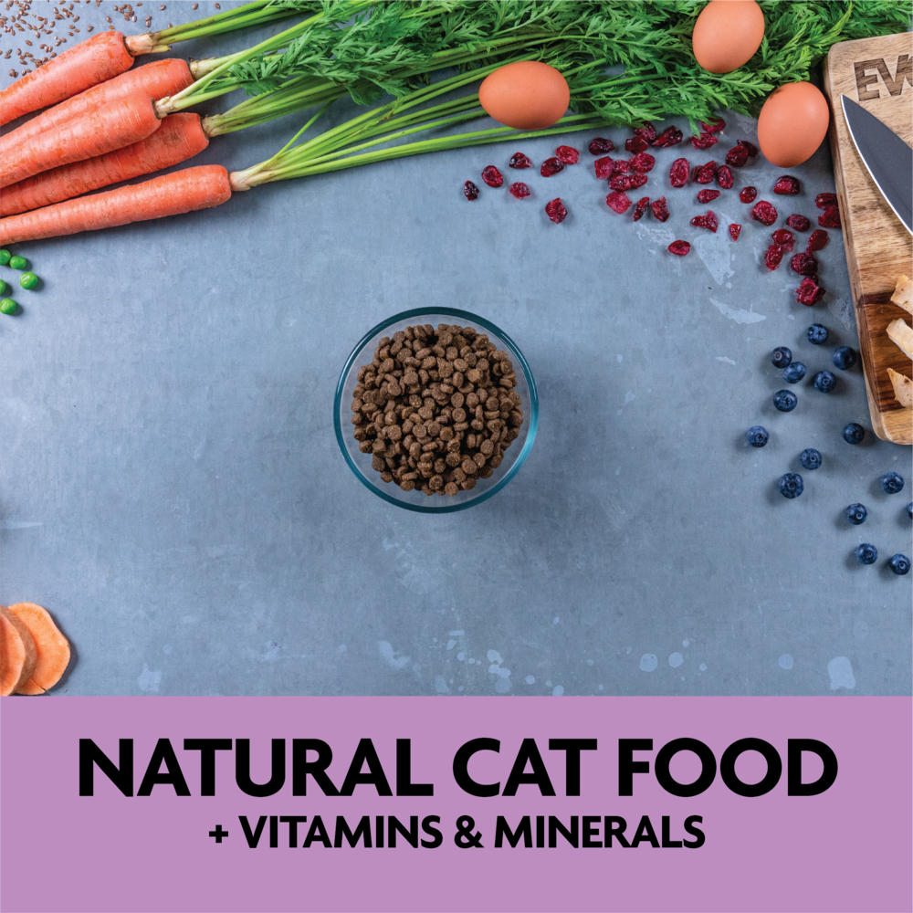 Evolve Grain Free Kitten - Alimento Holistico para Gatos