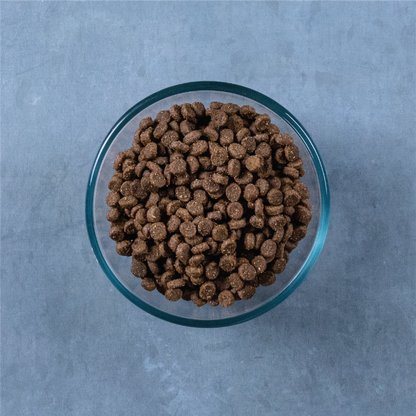 Evolve Grain Free Kitten - Alimento Holistico para Gatos