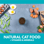 Evolve Grain Free Ocean Whitefish - Alimento Holistico para Gatos