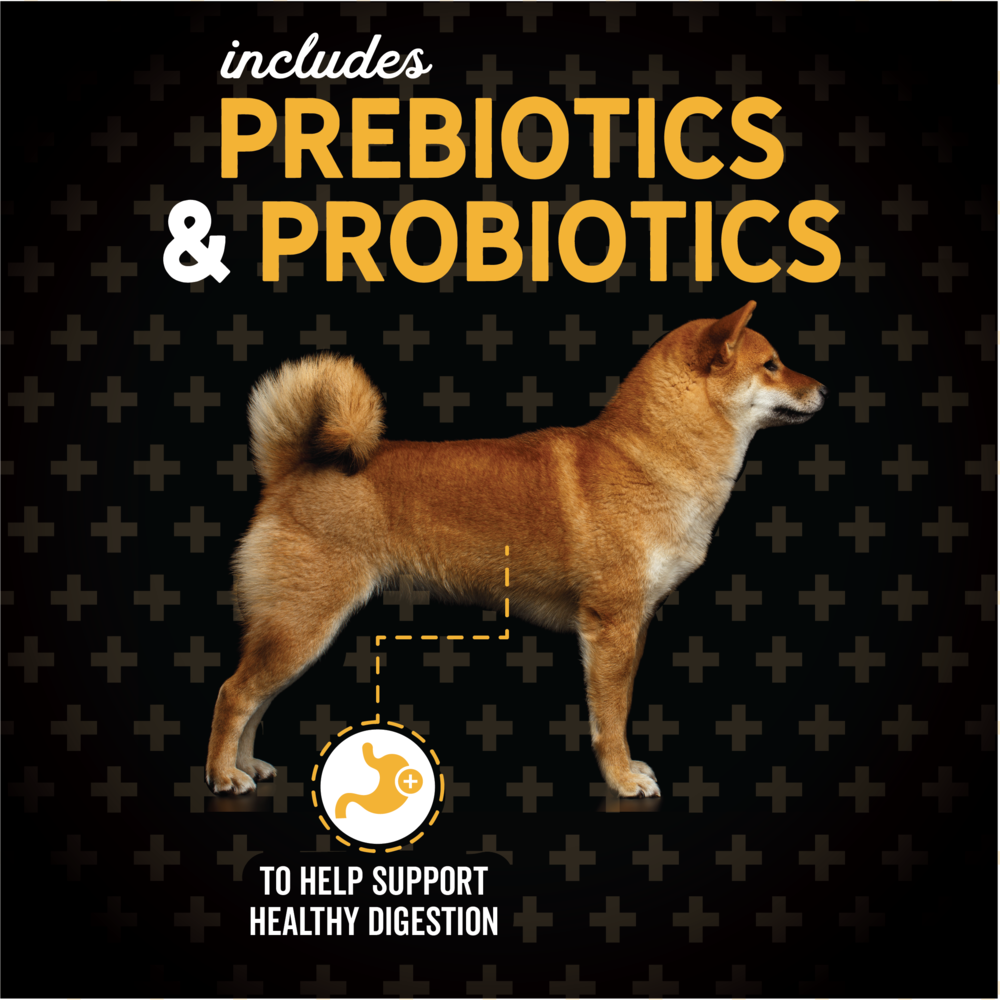 Evolve Grain Free Pato - Alimento Holistico para Perros