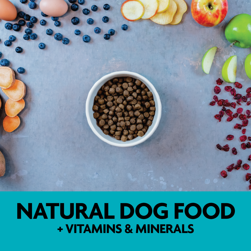 Evolve Grain Free Pato - Alimento Holistico para Perros