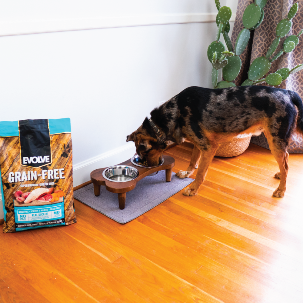 Evolve Grain Free Pato - Alimento Holistico para Perros