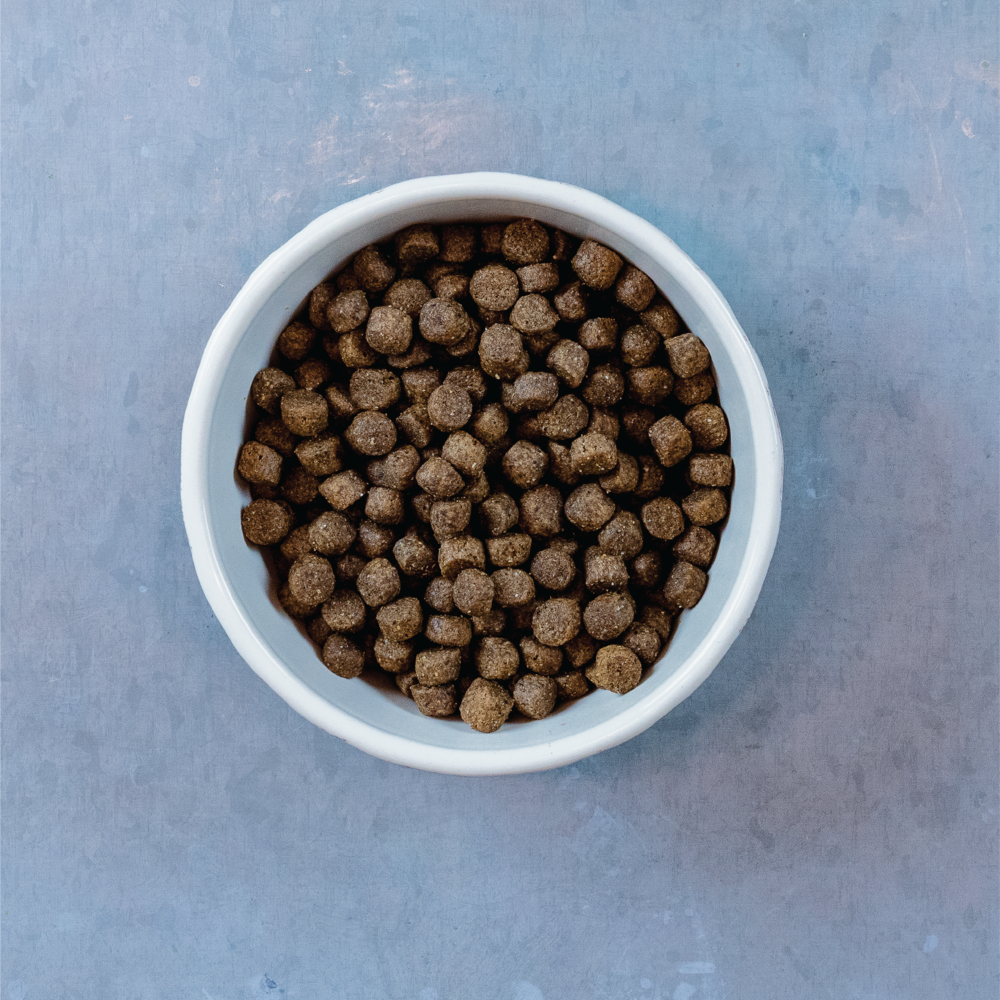 Evolve Grain Free Pato - Alimento Holistico para Perros