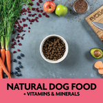 Evolve Grain Free Salmón - Alimento Holistico para Perros