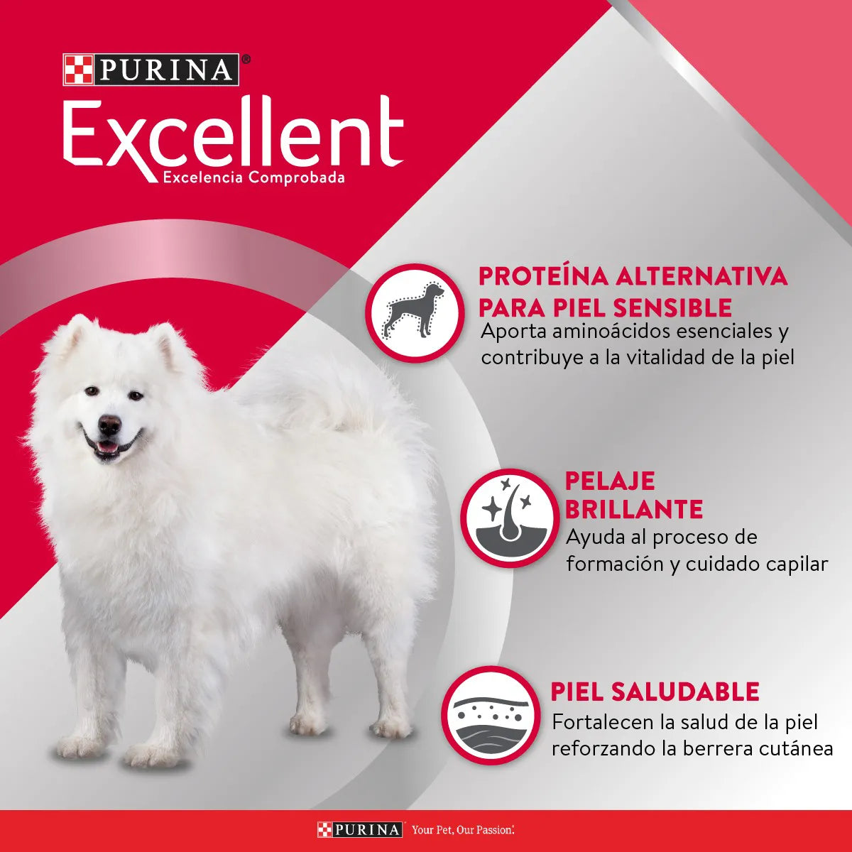 Excellent Adulto Skin Care - Alimento para Perros