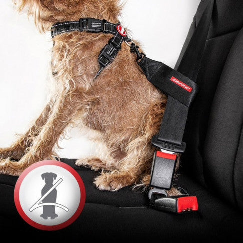 EzyDog Arnés Chest Plate Candy - Arnés para Perros