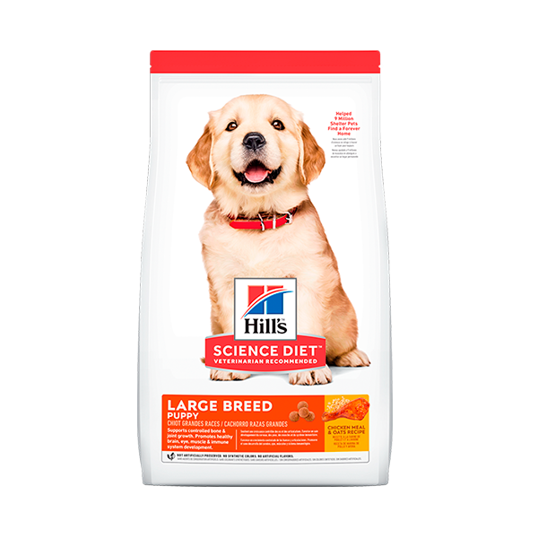 Hill's Science Diet Puppy Large Breed - Alimento para Perros