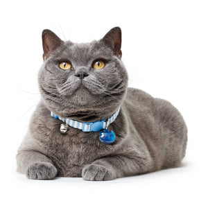 Hunter Cat Collar Cotton Stripes Light Blue - Collares para Gatos