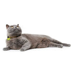 Hunter Cat Collar Dots Green - Collares para Gatos