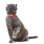 Hunter Cat Collar Seventies Pink - Collares para Gatos