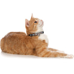 Hunter Cat Collar Signs - Collares para Gatos