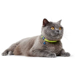 Hunter Cat Collar Turin Yellow - Collares para Gatos