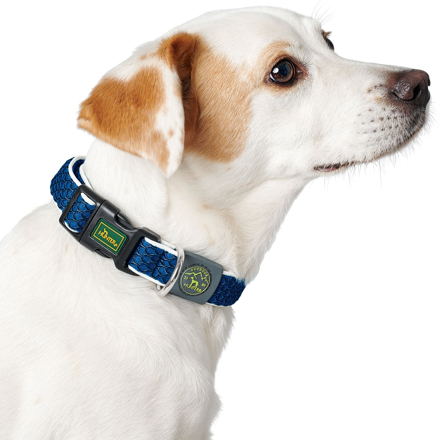 Hunter Collar Hilo Vario Basic Blue - Collares para Perros